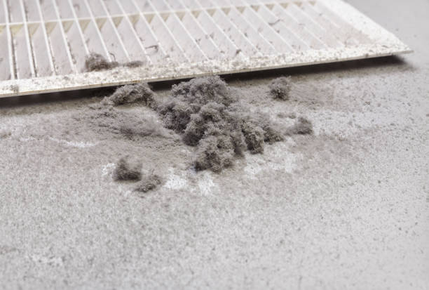 Best Commercial HVAC Duct Cleaning  in Colfax, LA