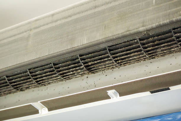 Best HVAC Air Duct Cleaning  in Colfax, LA